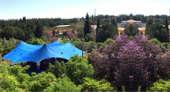 פתרונות הצללה