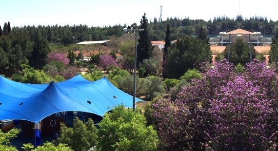 פתרונות הצללה